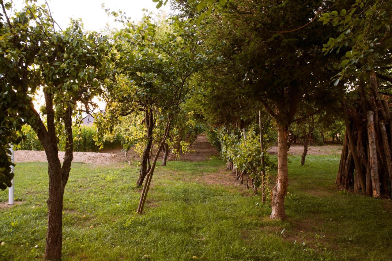Domaine Des 4Roses -Spa Et Serenite Villa Furdenheim Eksteriør bilde