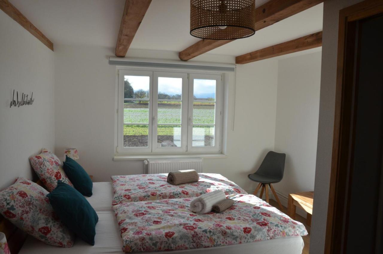 Domaine Des 4Roses -Spa Et Serenite Villa Furdenheim Eksteriør bilde